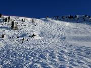 Mogul slope at Ciampinoi
