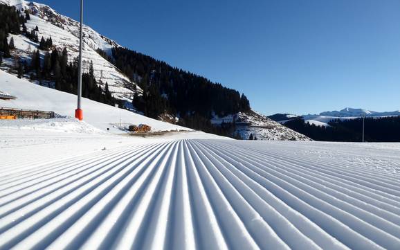 Slope preparation Sugana Valley (Valsugana) – Slope preparation Lagorai/Passo Brocon – Castello Tesino