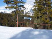 Slope signage in the Mt. Norquay ski area