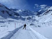 Trail to the terminus of the Morteratsch Glacier
