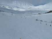 Easy slopes on the Alp Stätz