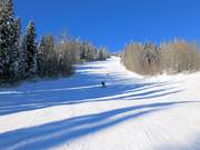 Intermediate slope Cruiser