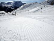 Perfectly groomed slope at Col Rodella