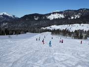 For beginners: Gentle and wide Roßalm slope (Winklmoosalm)