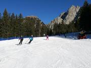 Easy valley run Falzeben