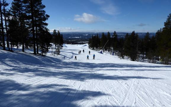 Skiing in Dalarna County (Dalarnas län)
