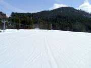 Easy slope at the Raubachlift at the Riedbergerhorn valley station
