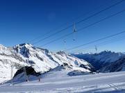 Daunferner II - T-bar