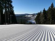 Very well-groomed slopes in Špičák