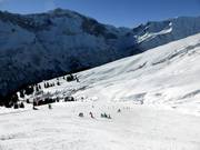 Connecting slope Burstplangge