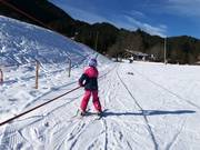 Rope lift in the beginner's paradise