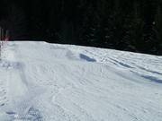 Wave track at the Zachhofbabylift