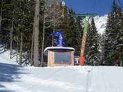 Amusingly designed lift hut