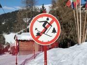 Forest protection zones