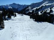 Easy slope from Mellau to Damüls