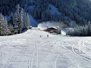 Ideal beginner terrain at the Kreisten practice lift