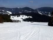 Schwinbach run