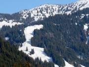 View of the Kreuzle run at Riedberger Horn