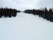 Wide slope Snow Rodeo