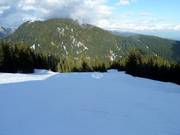 Centennial downhill run