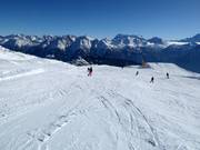 Easy slope No. 10 Aletsch