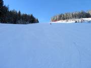 The challenging north descent at Rittisberg