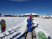 Conveyor belt in the Monte Bondone ski area