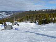 Backyardheisen (N) - J-bar