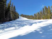 Intermediate slope Crazy Canuck