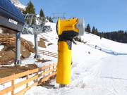 Snow cannon in the Carezza ski area