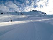 Run No. 11 Jatzpiste