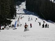 Practice area with conveyor belt at Bunderishka Polyana