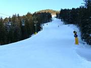 Raut-Vierschach slope