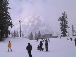 Ski resort Mt. Baker