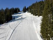 Easy slope Rietboden at the Schabell chairlift