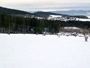Easy slope at the Forsthaus lifts