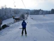 Brünnlhanglift - T-bar