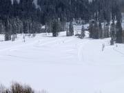 Trails at the Solitude Nordic & Snowshoe Center