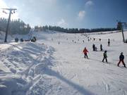 View towards the mountain