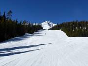 Easy slope Marmot Meadows