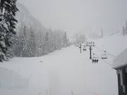 Debbie's Gold downhill run