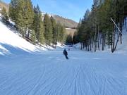 Easy slope Lower Broadway