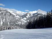 Schober's Dream downhill run