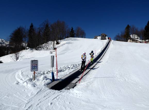 Childrens Park Vogel