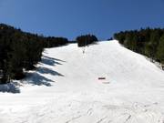 Slopes at Pla de la Cot