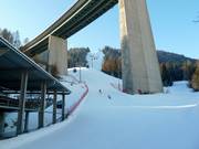 Valley run/family run