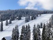 Intermediate slopes at the Zeller lifts
