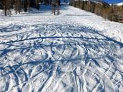 Powder slope below Alp Pradame