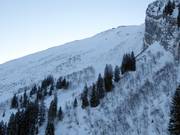 View of the Laub freeride area