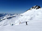 Hochalpe downhill run at the Damülser Mittagspitze